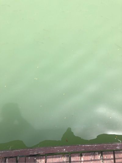 运输业