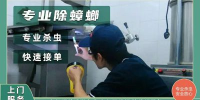 北京包车
13520480256