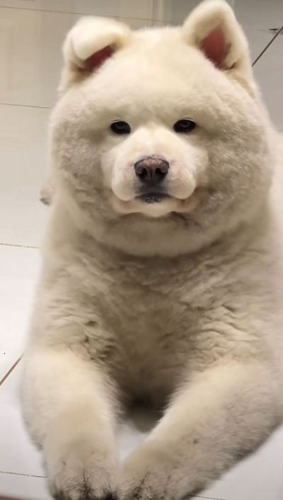 水电