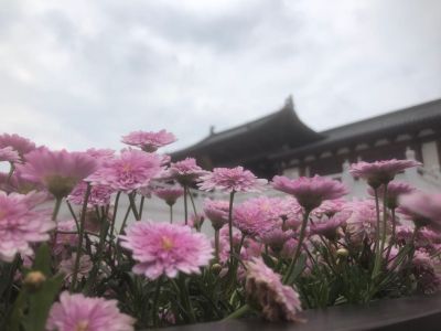 维修水电安装