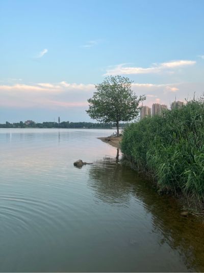 水电家电安装无