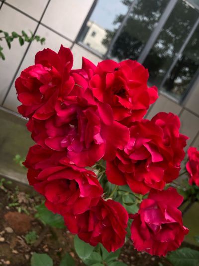 电器安装维修