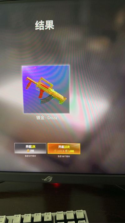 啥也不会
