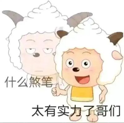 窗帘窗饰