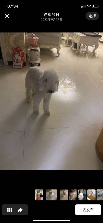个体