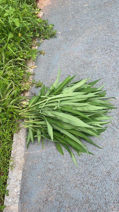 餐厅灯换去房间