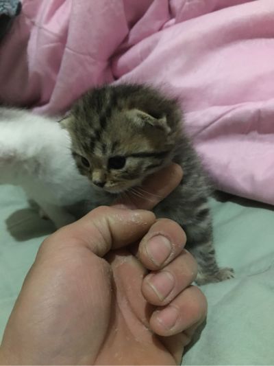 网络技工