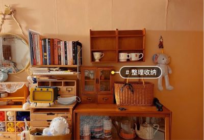 收纳整理上门收纳整理安装柜子架子