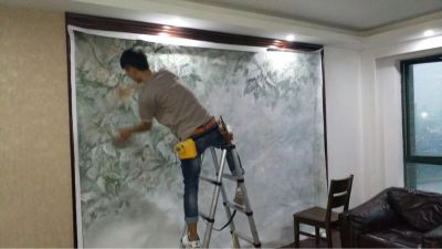 墙纸墙布