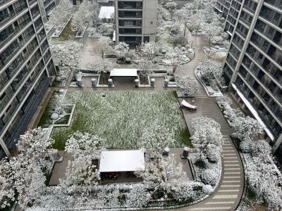 墙纸墙布墙纸墙布施工