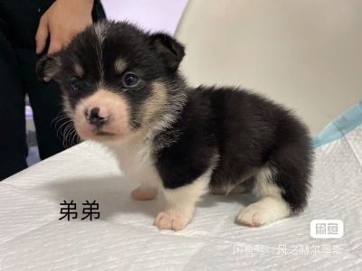 65寸电视上墙，我没有工具