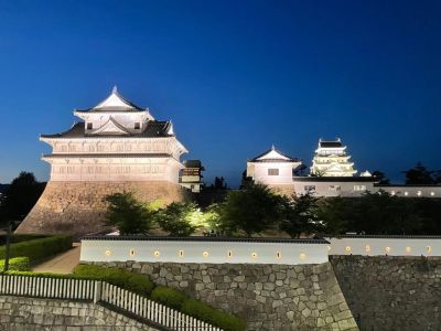 打印机接口电路板故障吧，富士m268。停留在图片状态不打印。