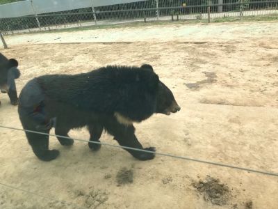 水电安装维修