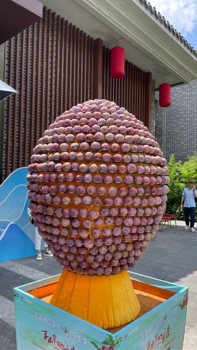 电视维修电视维修