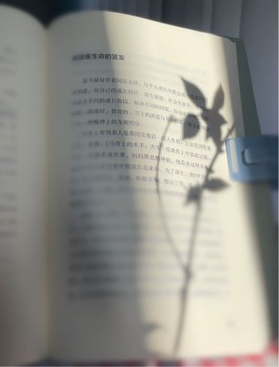 原来安装的水槽没安装好，拆下来重新安装，价格面议