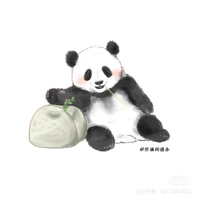专业硬装团队