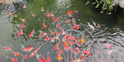 水电灯具组合柜移门