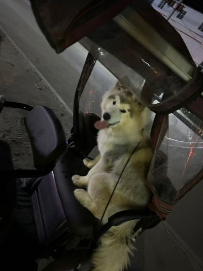 专业机修安装