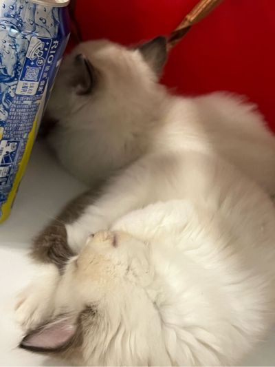 两台风管机的进出口密封