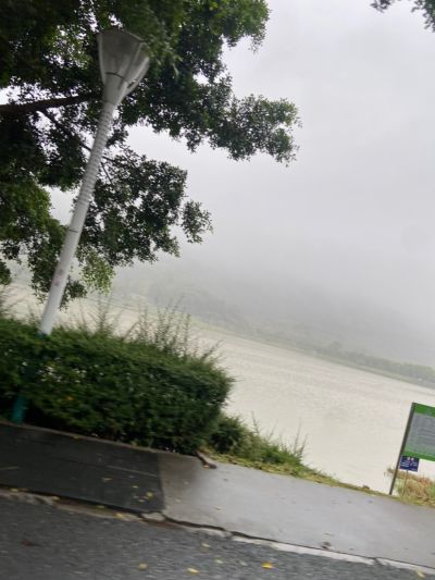 广告贴纸