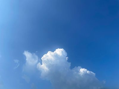 电工家装电工工业行业电工跑腿