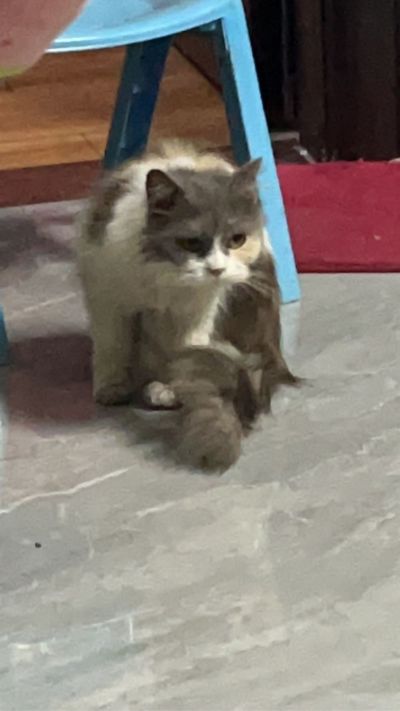 无