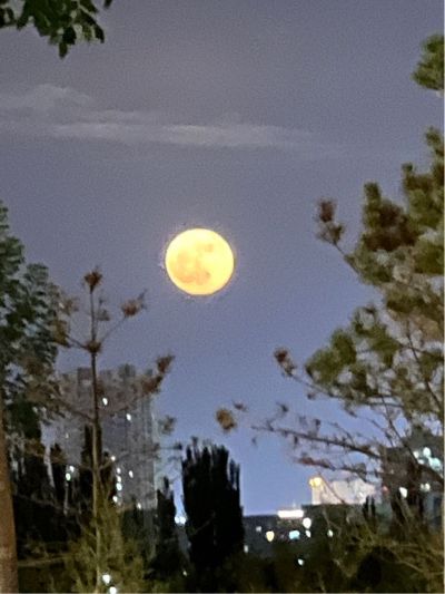 水管漏水了，之后水压泵就一直抽水，不间断。需要人检查一下是什么问题并修复。
