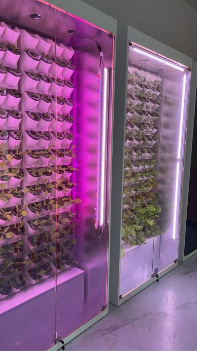 智能家居设计智能家居维修