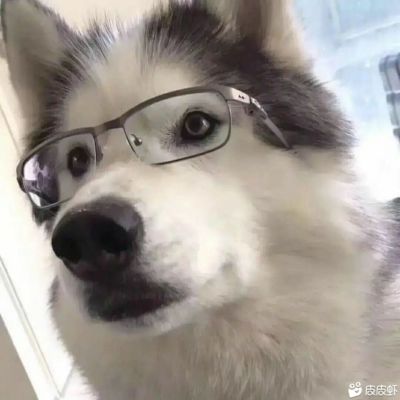 汽车贴膜