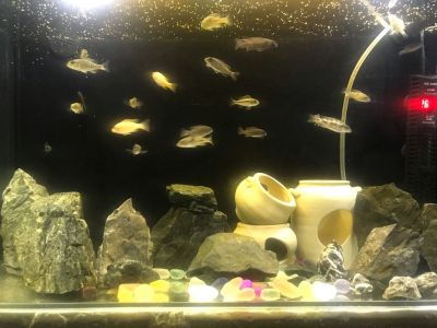 全能鱼缸安装家具安装电器安装