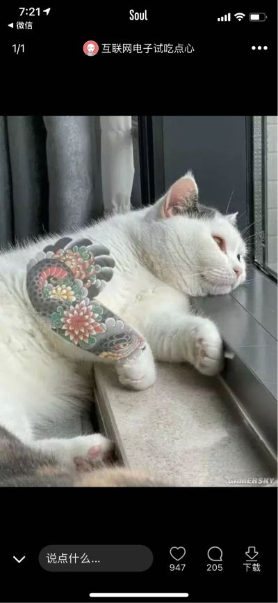 全能家装维修