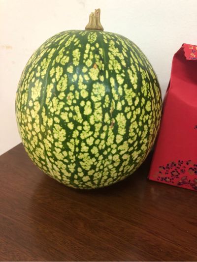 电视