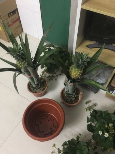 安装维修安装工程