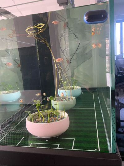 木工