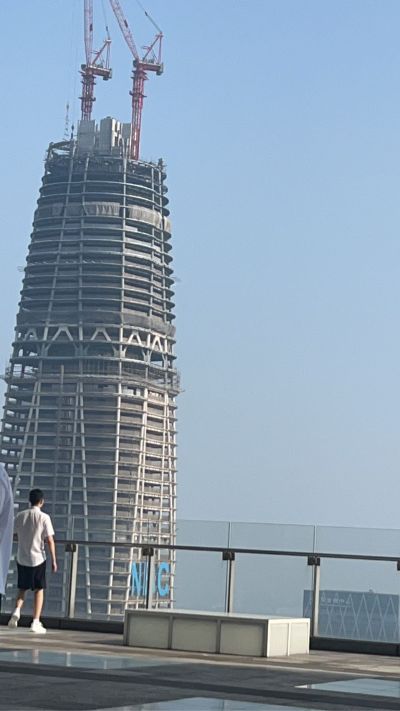 业主