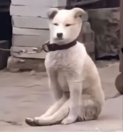 无