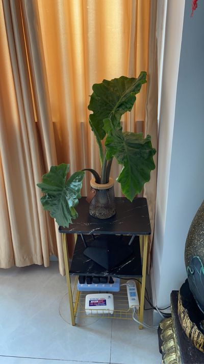 家用