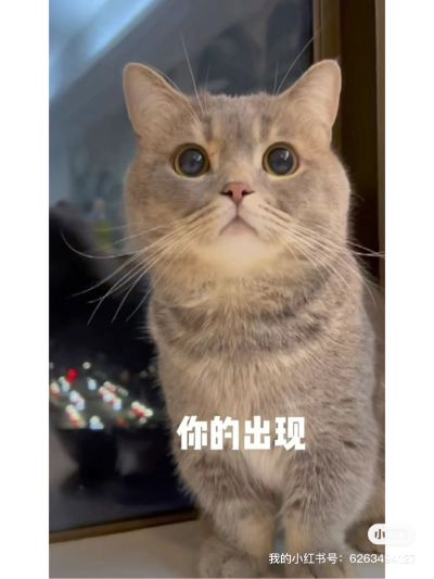 音传