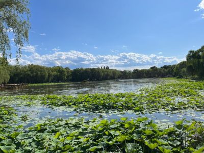 计算机