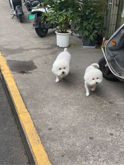 无