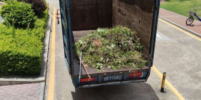 我在深圳有，装卸货物，专业团队经验10年。