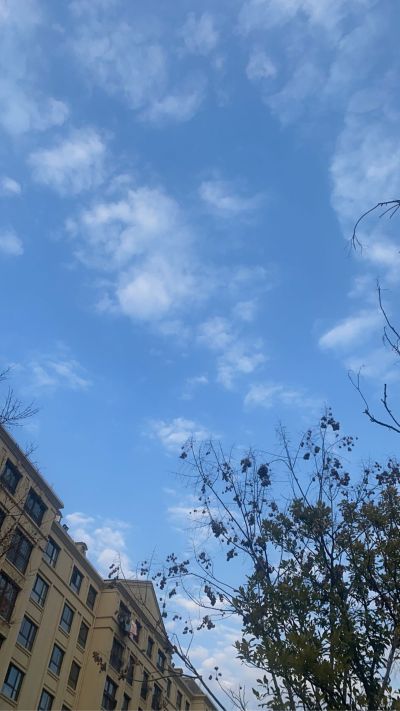 家具维修美容