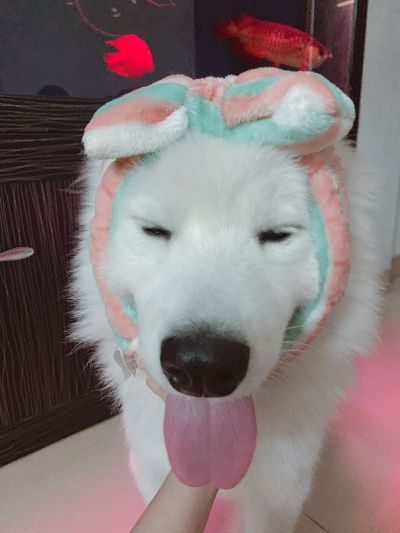 美容