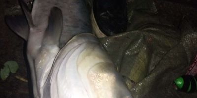 装修、拆除☜专业拆除专业拆除。