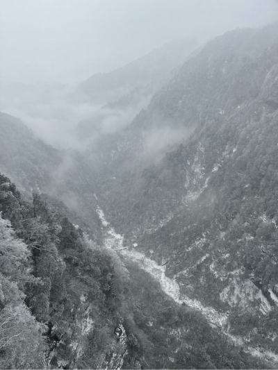 家庭