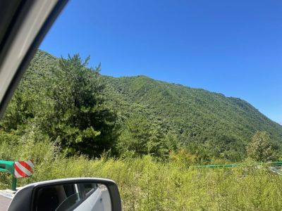 木工