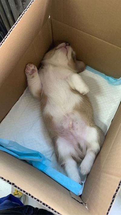 网络通信