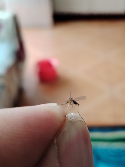 水电工