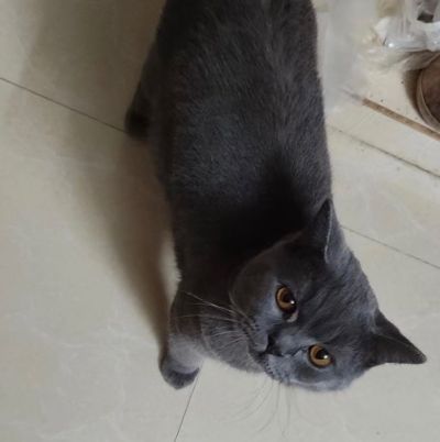 办公设备电脑