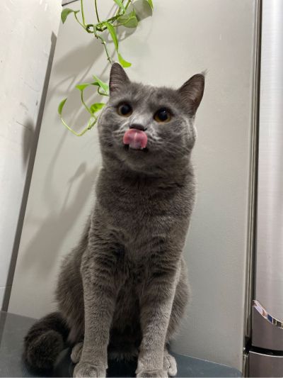 电工